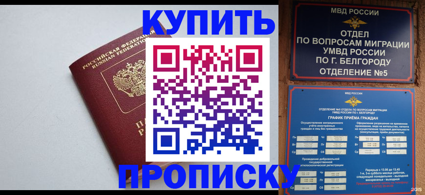 прописка регистрация в Кирсанове